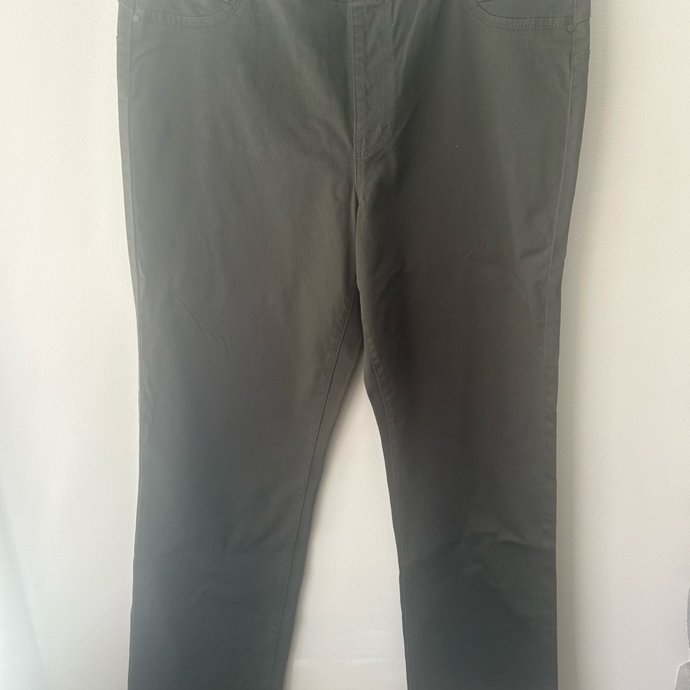 Parasuco pull on pants - NWOT
